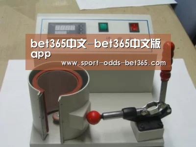 bet365中文案例展示六