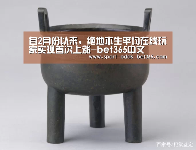 bet365中文